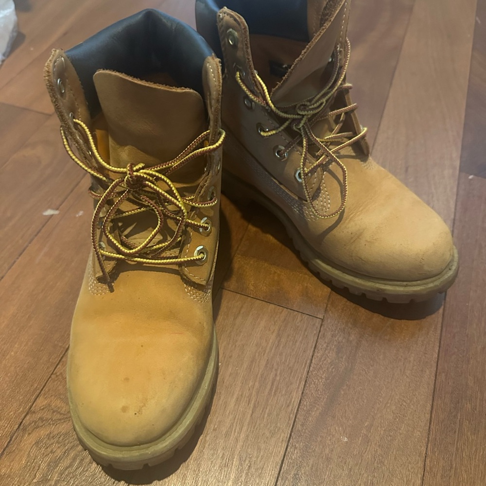 Timberland Women's 6" Premium Waterproof Boot